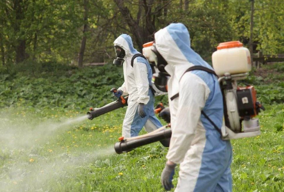 ФОТО Уничтожение клопов в районе станции метро Электрозаводская