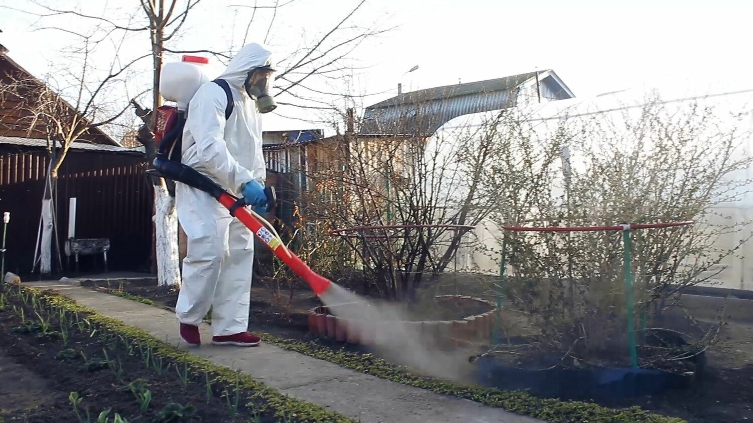 ФОТО Уничтожение муравьёв в районе станции метро Электрозаводская