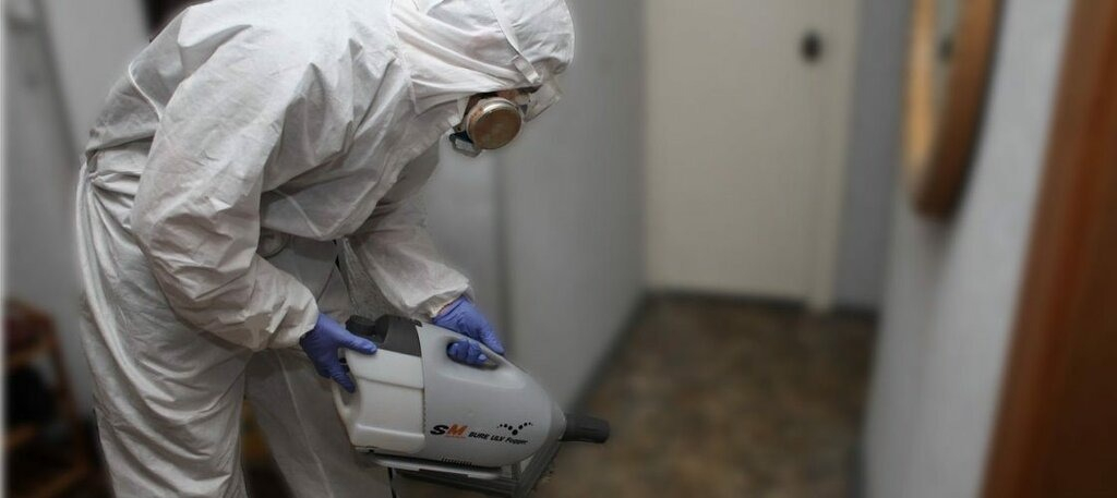 ФОТО Остаются ли следы после обработки квартиры от насекомых в районе станции метро Электрозаводская? | подробно